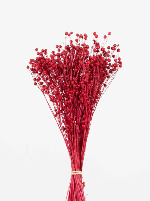 ORIETTA » Red Flax bouquet