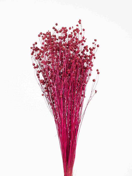 NOEMI » Burgundy Flax bouquet