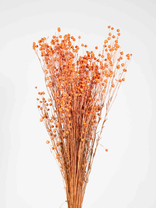 BETTA » Salmon pink Flax bouquet