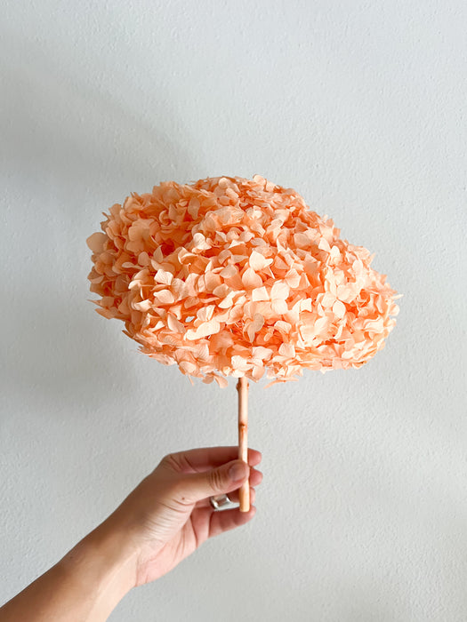 RACHELE » Premium preserved light orange Hydrangea