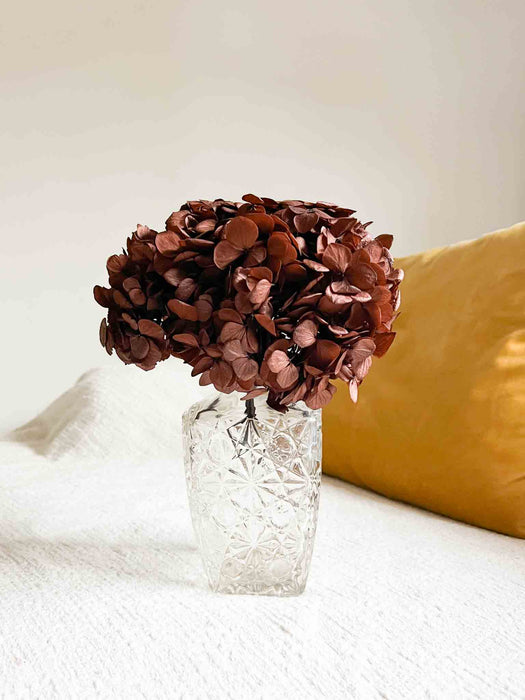 COSIMO » Premium brown preserved Hydrangea