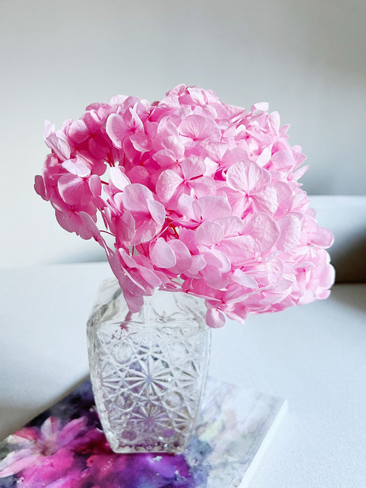 CYNDI » Premium preserved pink Hydrangea
