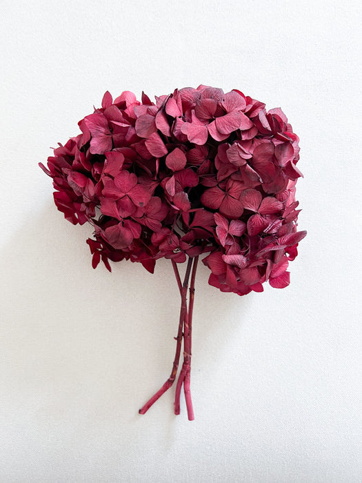 OFELIA » Preserved magenta Hydrangea