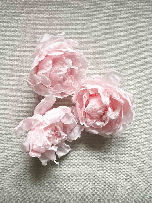 MATILDE » Pack of 3 preserved pink Peonies