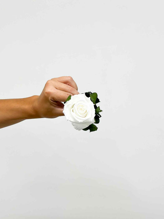 ROSA » White Rose stem - 50 cm