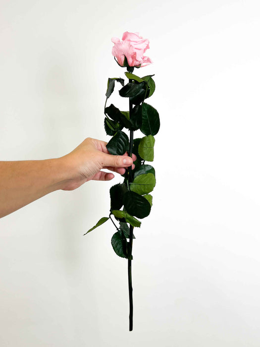ROSA » Light pink Rose stem - 50 cm