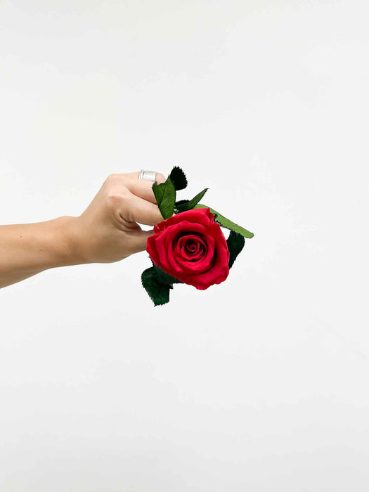 ROSA » Red Rose stem - 50 cm