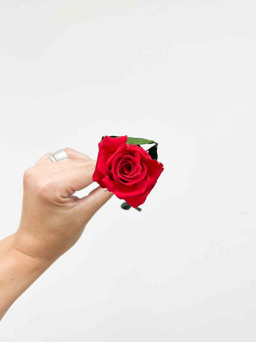 ROSITA » Red Rose stem - 25 cm