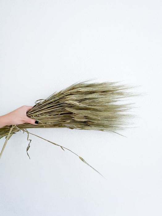 EZIO » Mazzo di Spighe naturale