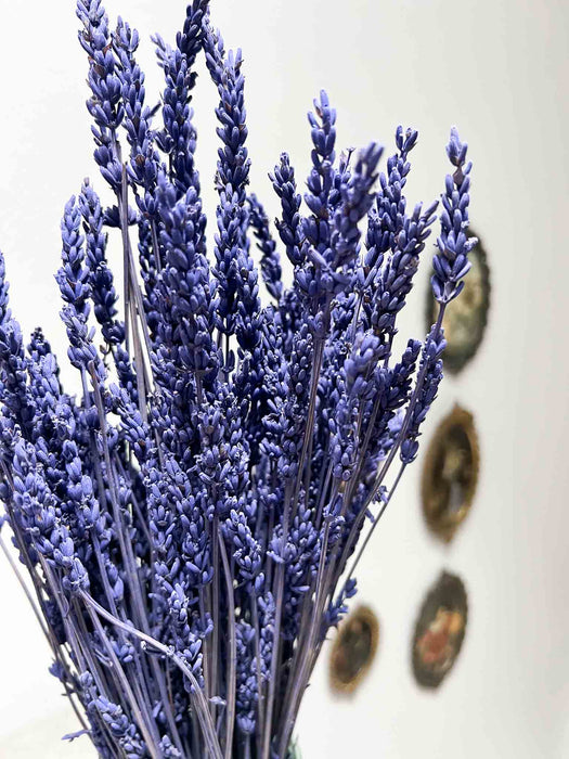 LAURETTA » Lavanda stabilizzata