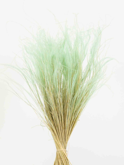 IVONNE » Mint green Stipa Pennata bouquet