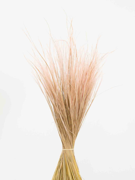 IRMA » Pink Stipa Pennata bouquet