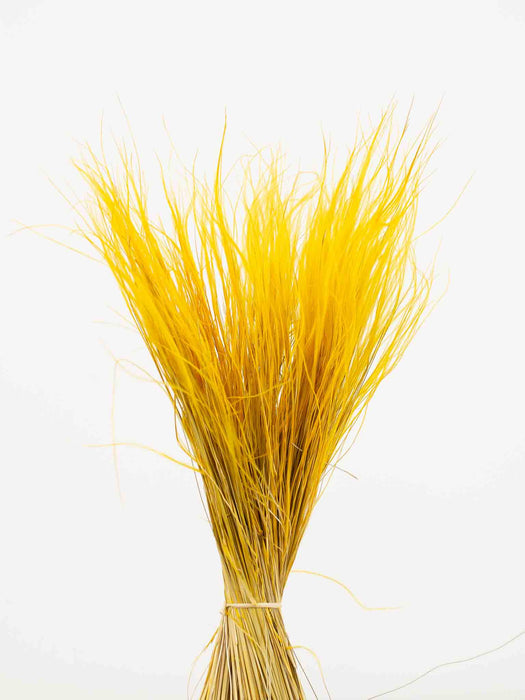 ELVIRA » Yellow Stipa Pennata bouquet