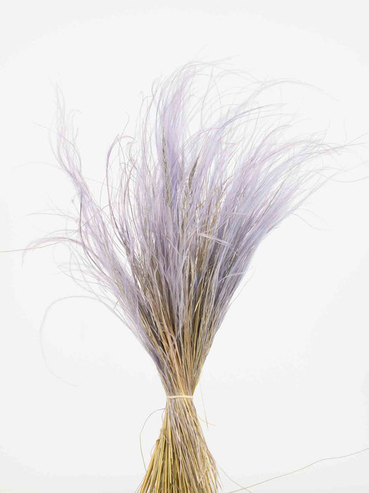 MARIA » Lavander purple Stipa Pennata bouquet