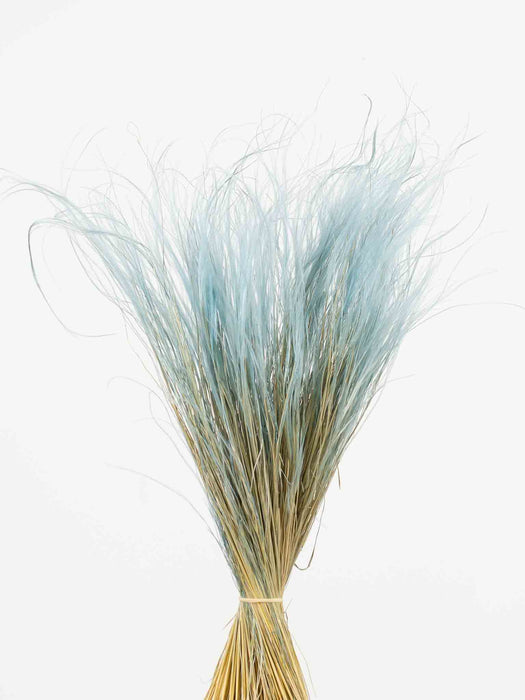 ELVIS » Denim blue Stipa Pennata bouquet