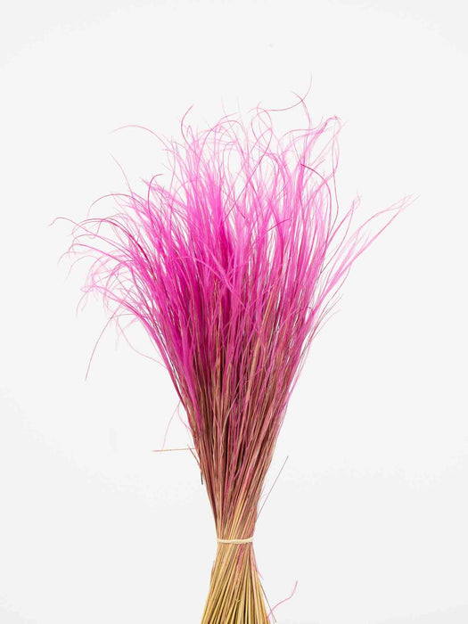 EDNA » Fuchsia Stipa Pennata bouquet
