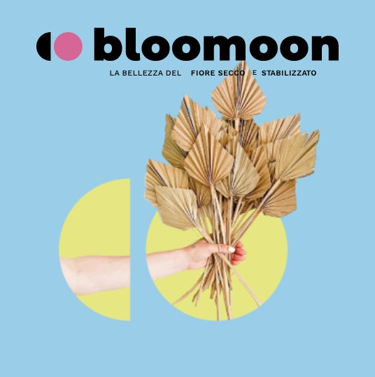 Would you like to decorate your home with our flowers? Go to the website dedicated to b2c Bloomoon.it