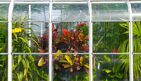 Avoid humidity