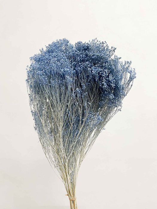 VINCENZO » Mazzo di Broom Bloom carta da zucchero
