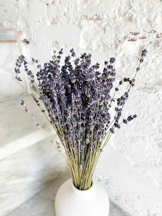 LAURA » Lavanda naturale