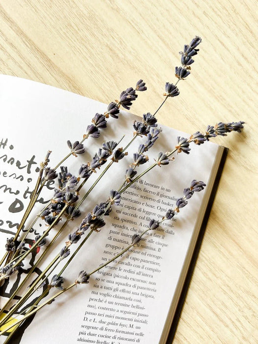 LAURA » Lavanda naturale