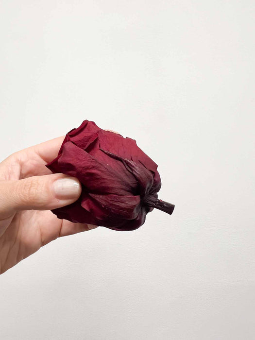 AGLAIA » Box da 6 fiori di Rosa rosso scuro diametro 6,5cm standard