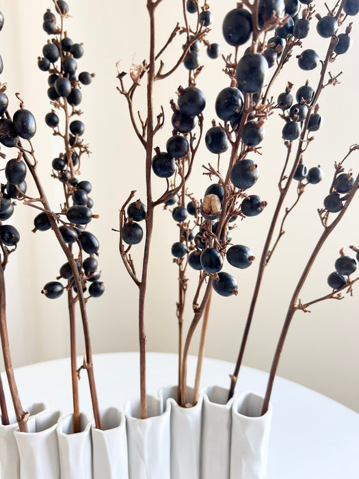 ANIELLO » Mazzo di bacche naturale Black Berry