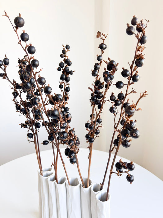 ANIELLO » Mazzo di bacche naturale Black Berry
