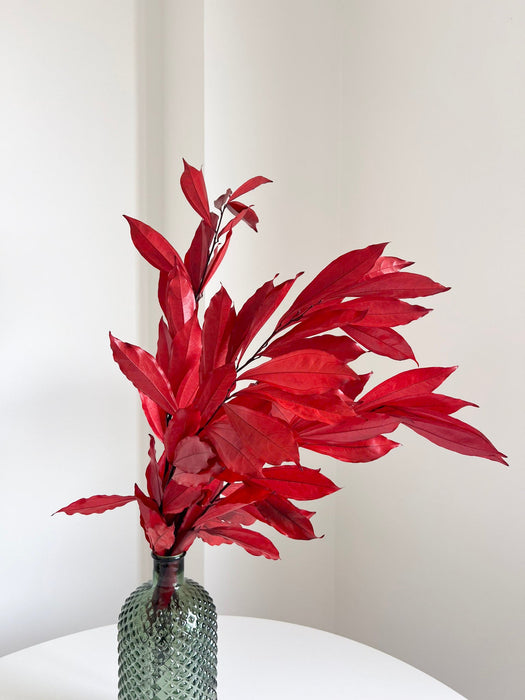APACHE » Cocculus stabilizzato rosso H70cm