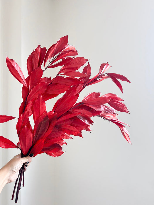 APACHE » Cocculus stabilizzato rosso H70cm