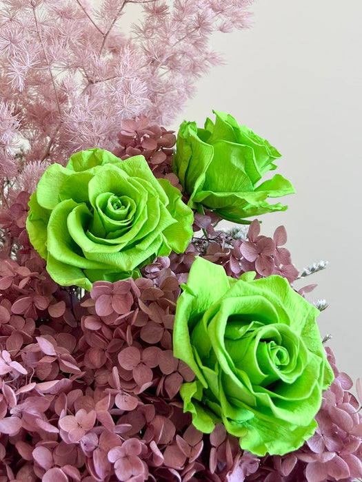 ARIELE » Box da 6 fiori di Rosa verde diametro 6,5cm standard