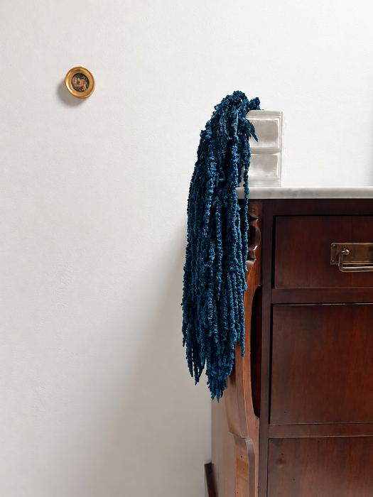 ATLANTICO » Amaranthus ricadente stabilizzato blu