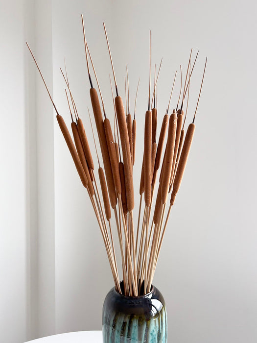 AURELIANO » mazzo di Typha naturale essiccata 90 cm