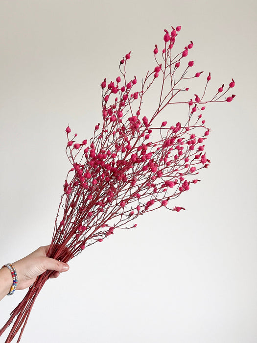 BEBE » Mazzo di erba Argentina fucsia