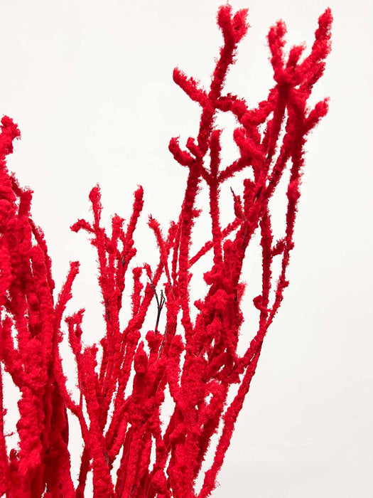 ALFONSO » Mazzo di Betulla floccata rossa da 5 steli 100cm