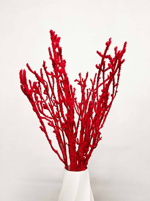 ALFONSO » Mazzo di Betulla floccata rossa da 5 steli 100cm