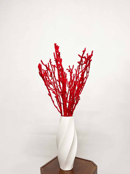 ALFONSO » Mazzo di Betulla floccata rossa da 5 steli 100cm