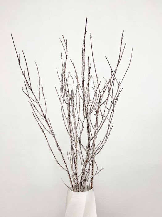 KRISTALL » Mazzo di Betulla ghiacciata da 5 steli 120cm