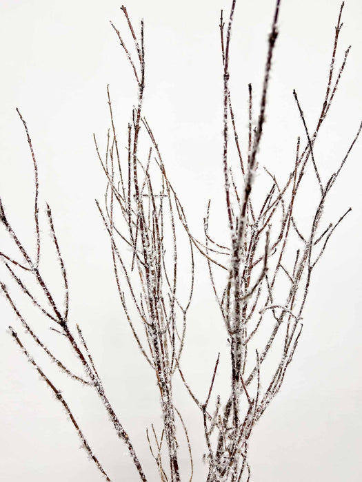 KRISTALL » Mazzo di Betulla ghiacciata da 5 steli 120cm