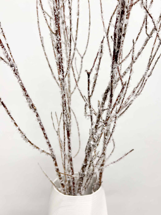 KRISTALL » Mazzo di Betulla ghiacciata da 5 steli 120cm