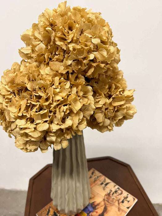 ARIANNA » 3 ortensie stabilizzate extra naturali