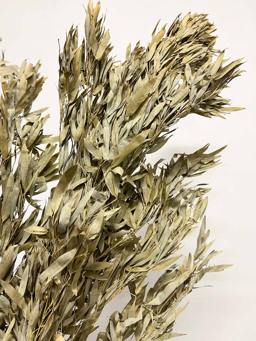 SAVERIO » Ramo di bamboo H180cm