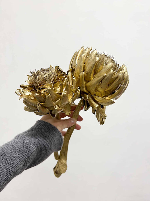 CARMELO » 2 Carciofi grandi essiccati verniciati colore oro