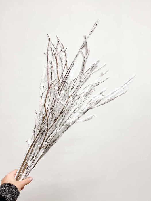 GERMANOTTA » Mazzo di Faggio floccato bianco 10 steli