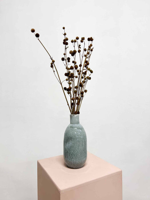 OLIMPIA » Mazzo di Calicarpa Naturale