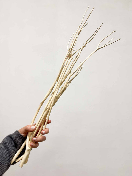 MILVA » 5 rami di Mitsumata bianchi