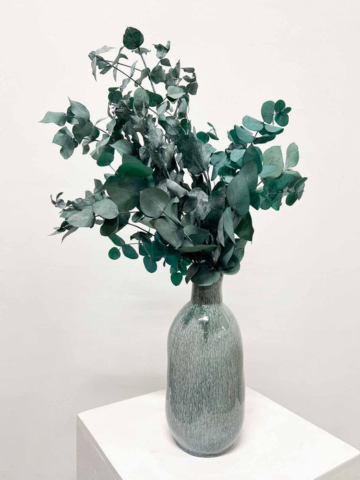 NOARA » Eucalipto Cinerea stabilizzato verde