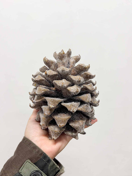 DIAMANTE » 2 Pigne innevate effetto ghiacciato