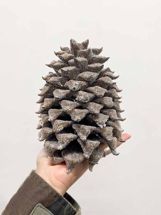 DIAMANTE » 2 Pigne innevate effetto ghiacciato