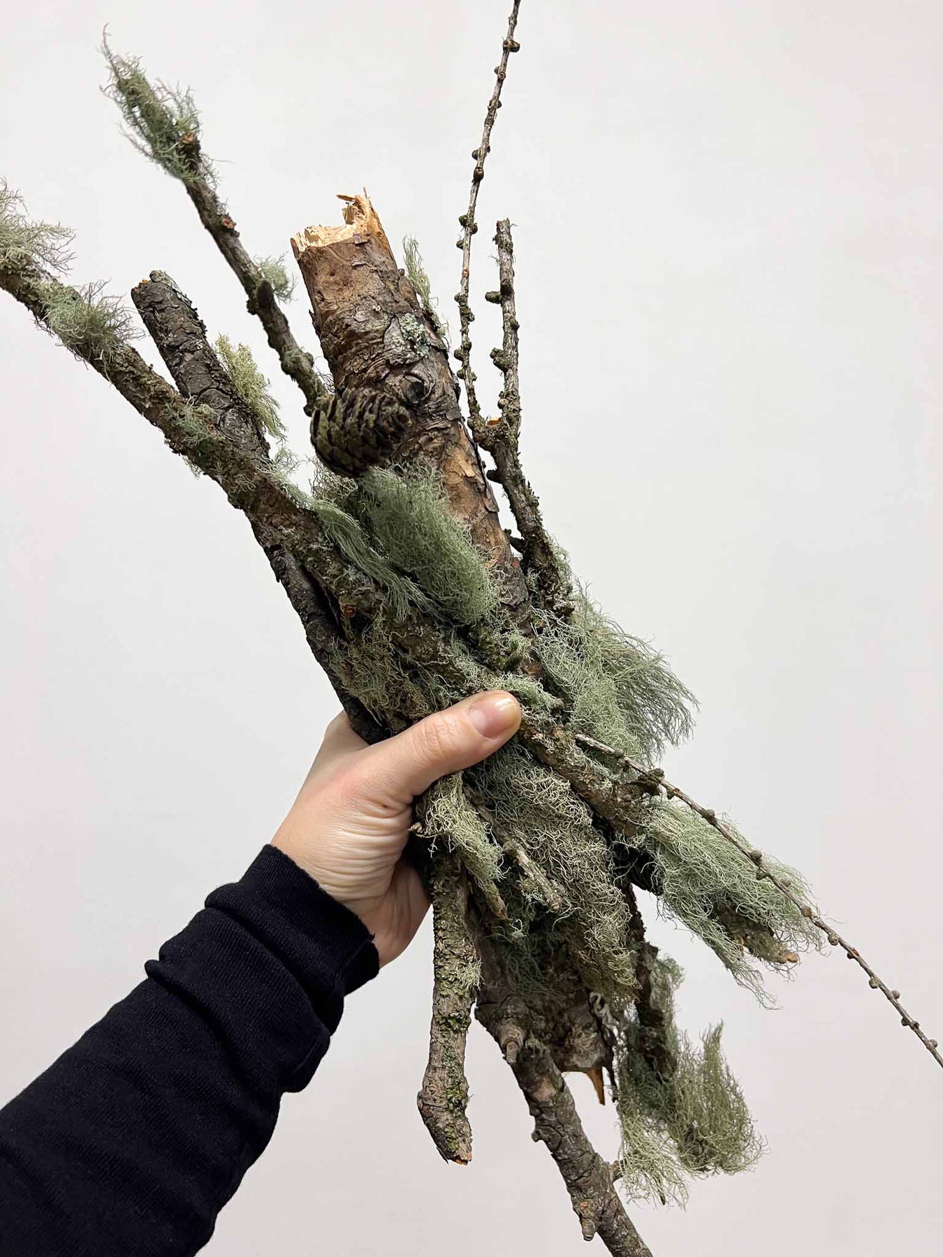 Tutti gli articoli ZèMina